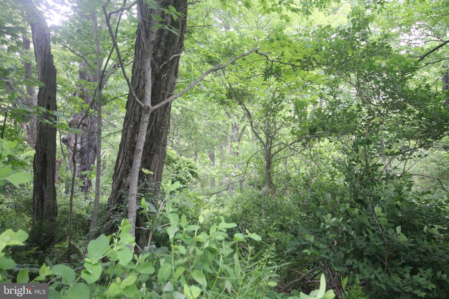 00 Black Valley Rd Property Photo 89