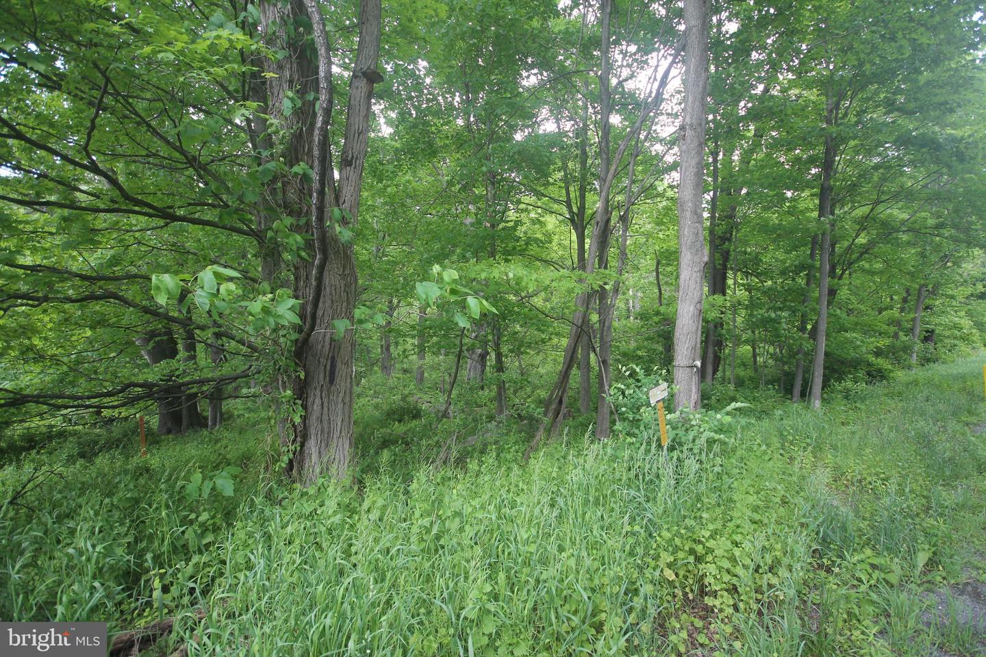 00 Black Valley Rd Property Photo 90