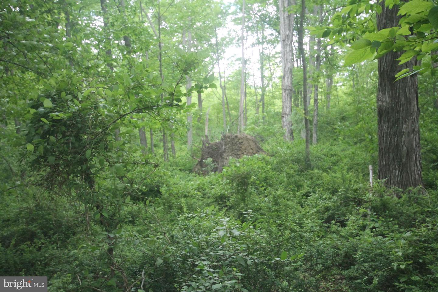 00 Black Valley Rd Property Photo 91