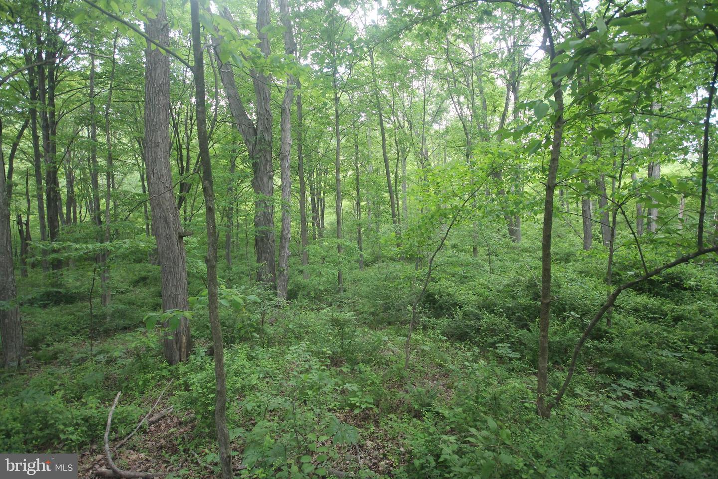 00 Black Valley Rd Property Photo 92