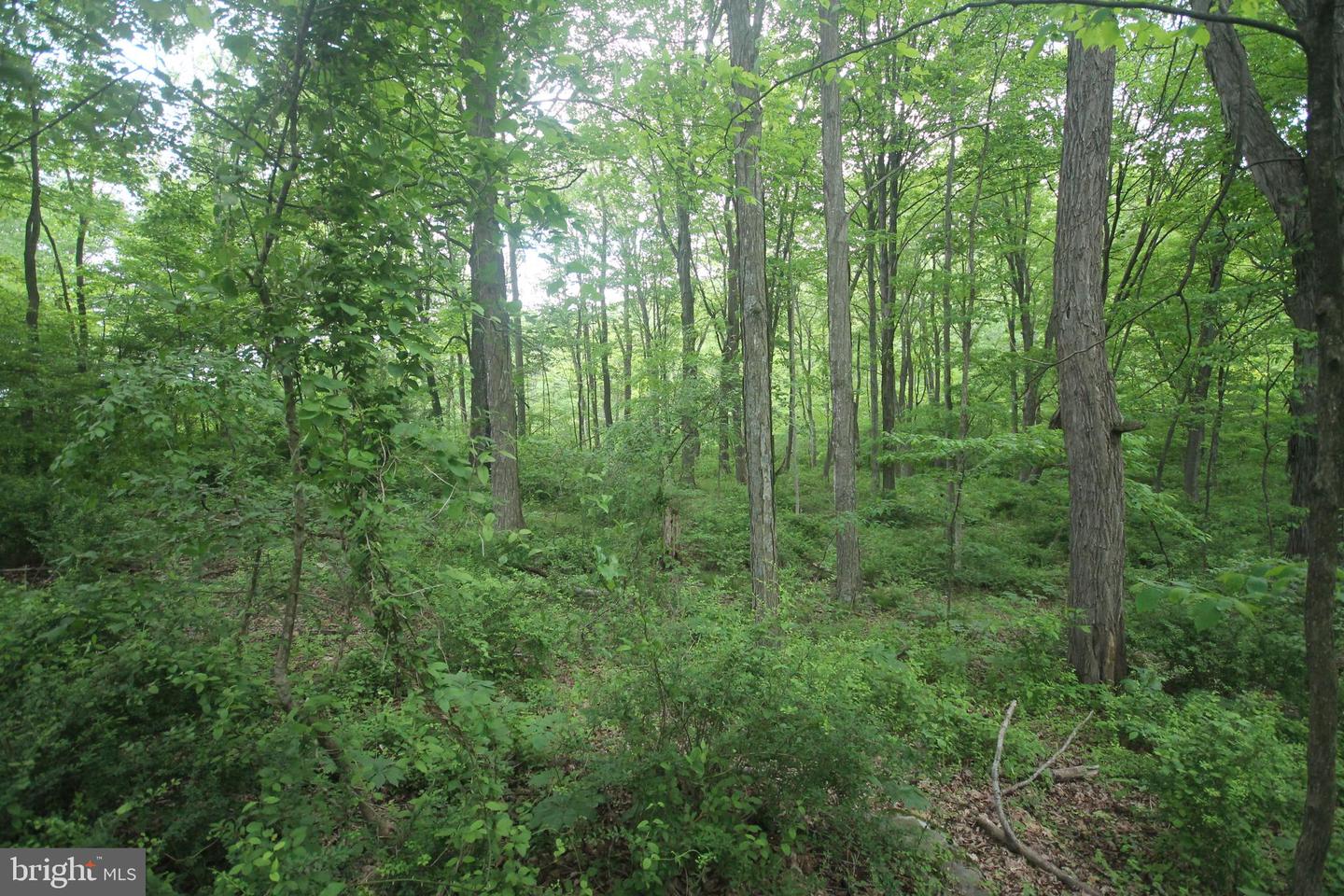 00 Black Valley Rd Property Photo 93