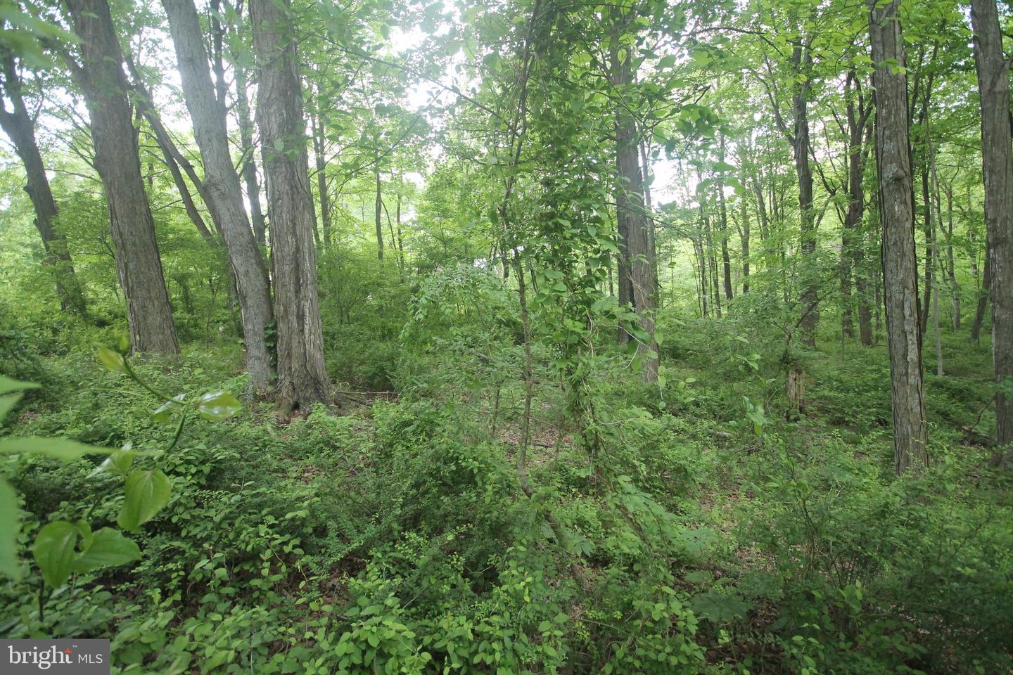 00 Black Valley Rd Property Photo 94