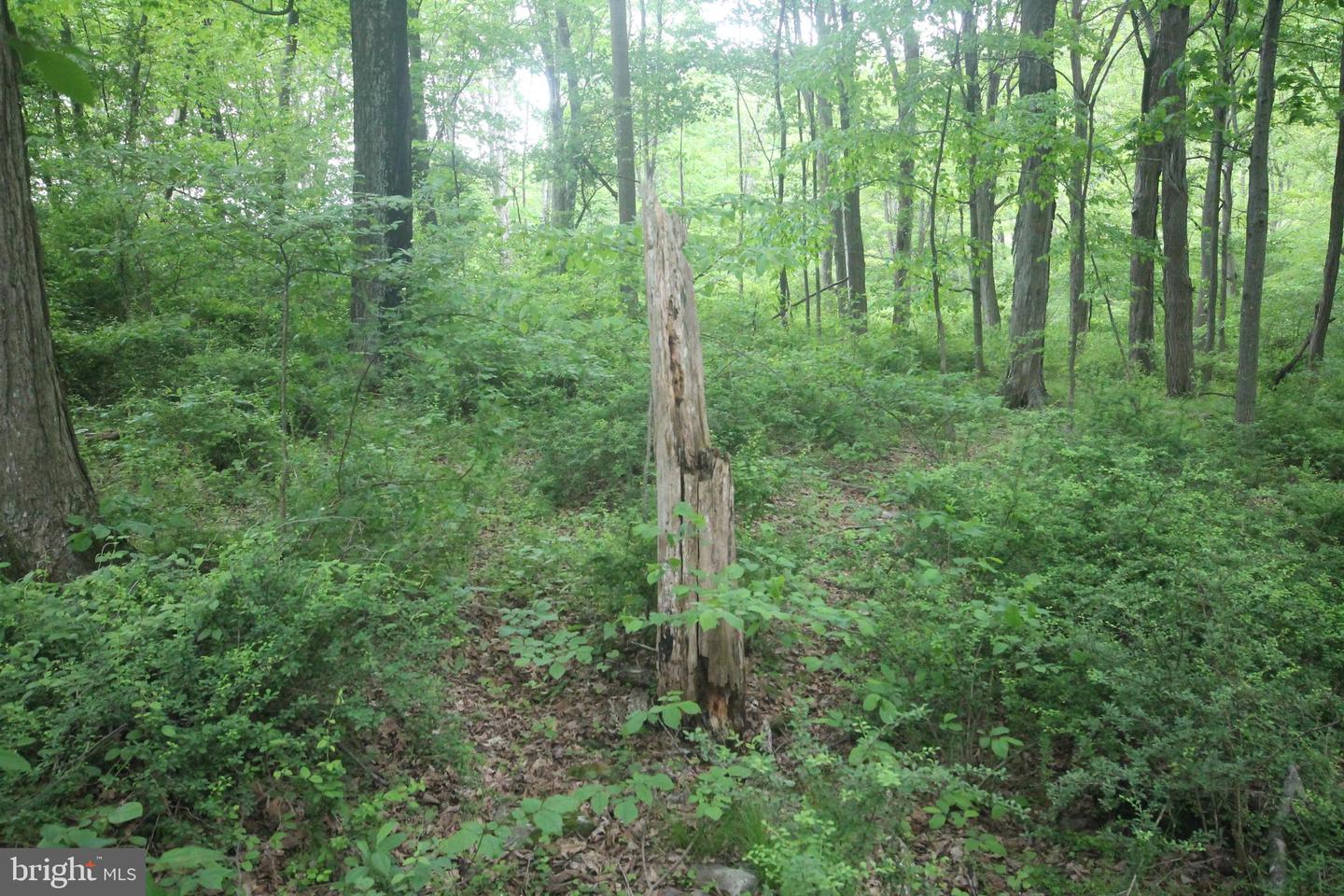 00 Black Valley Rd Property Photo 95