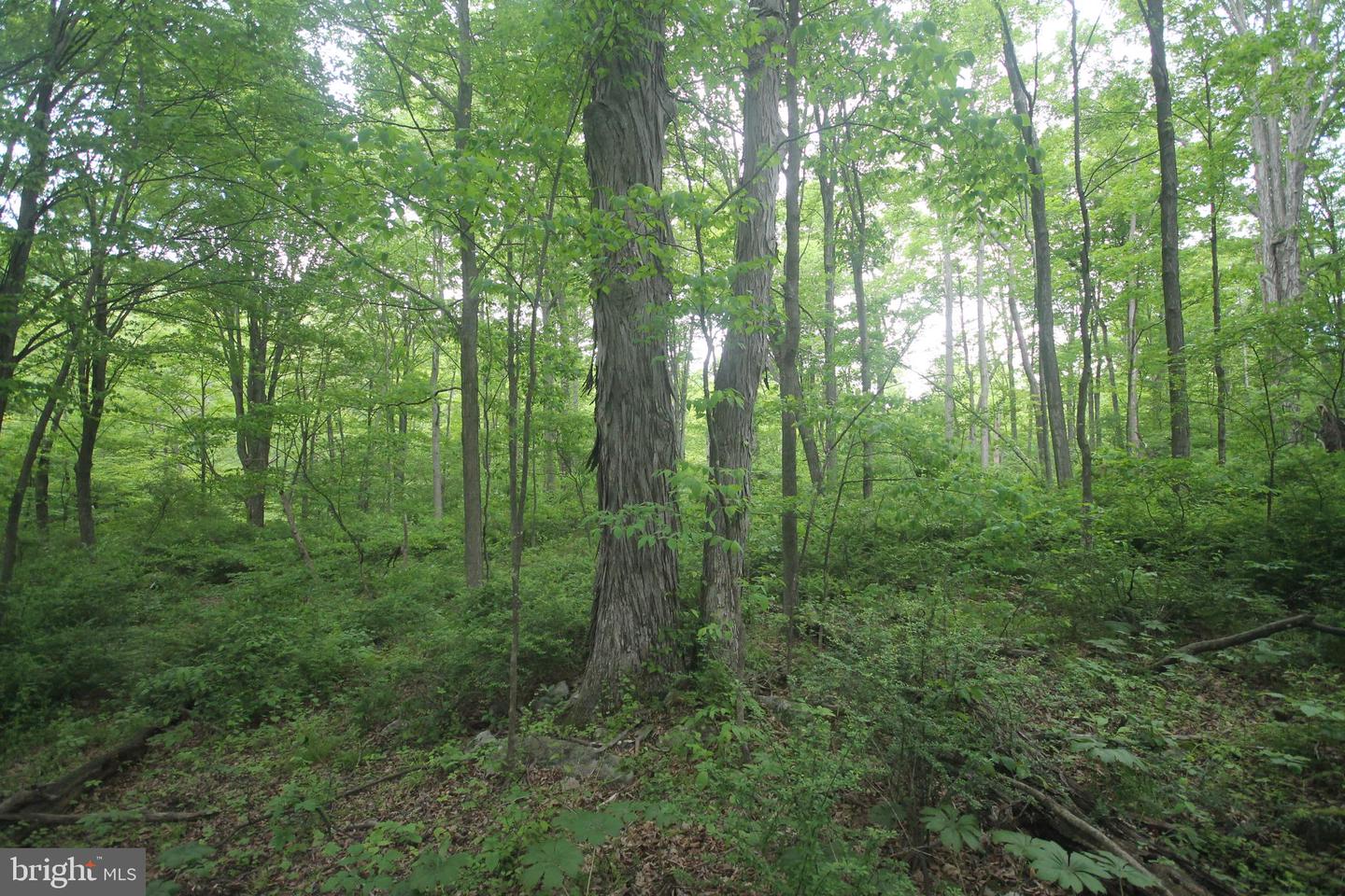 00 Black Valley Rd Property Photo 96