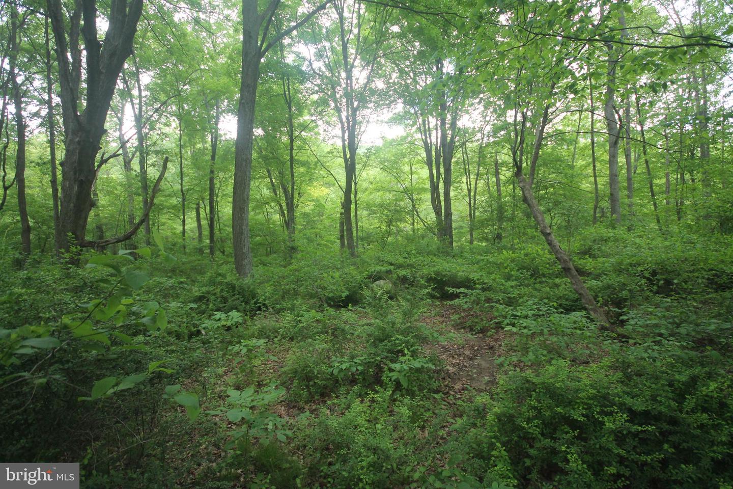 00 Black Valley Rd Property Photo 98