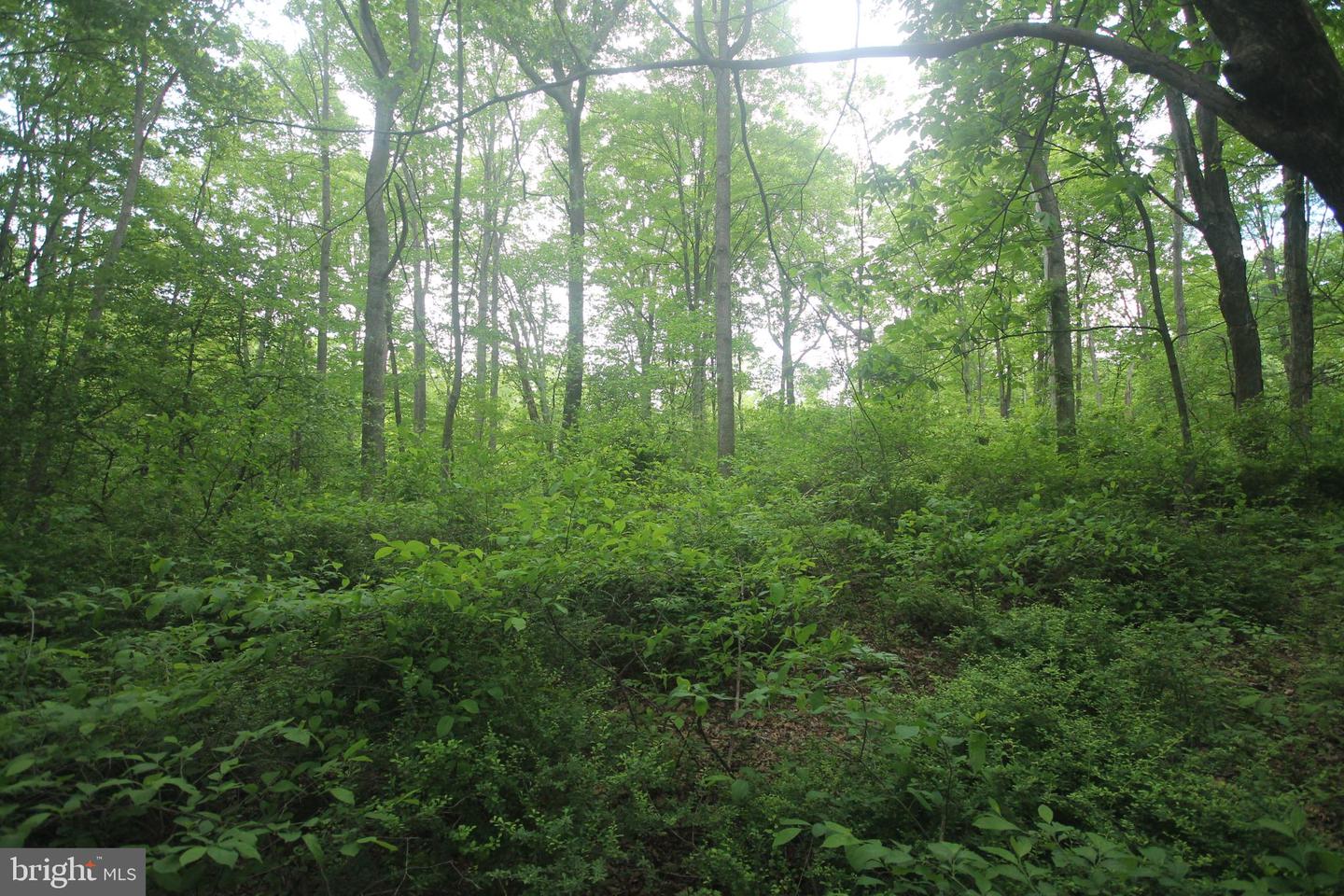 00 Black Valley Rd Property Photo 100