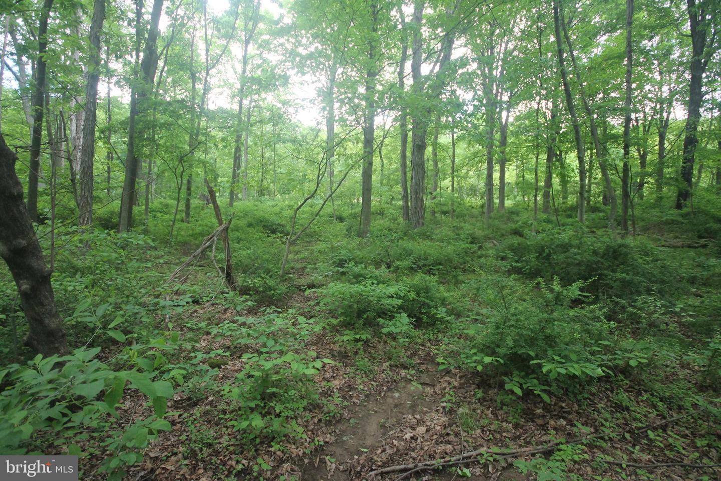 00 Black Valley Rd Property Photo 101