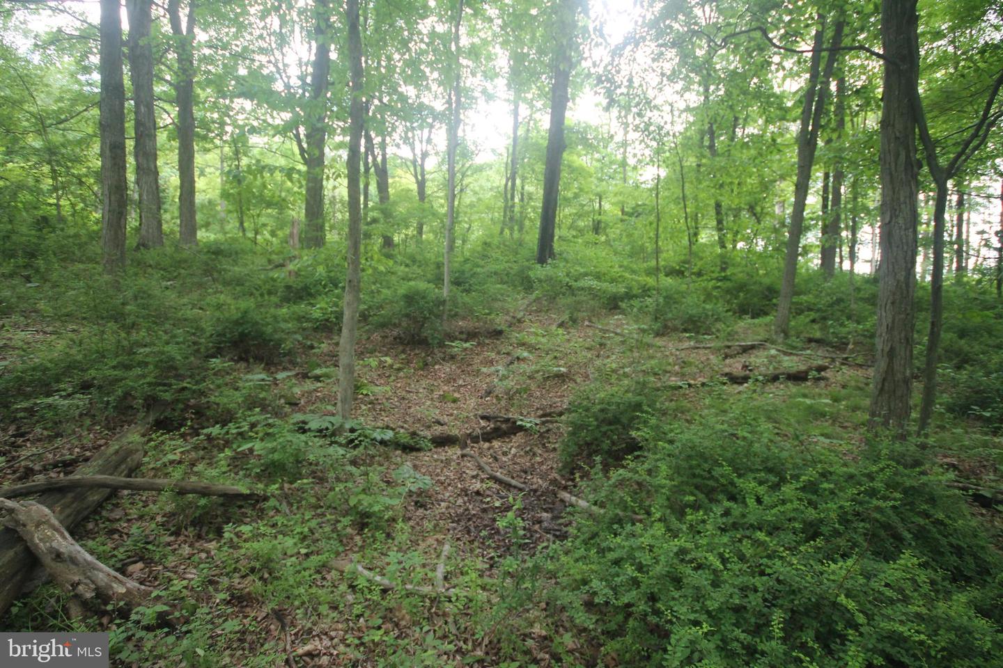 00 Black Valley Rd Property Photo 102