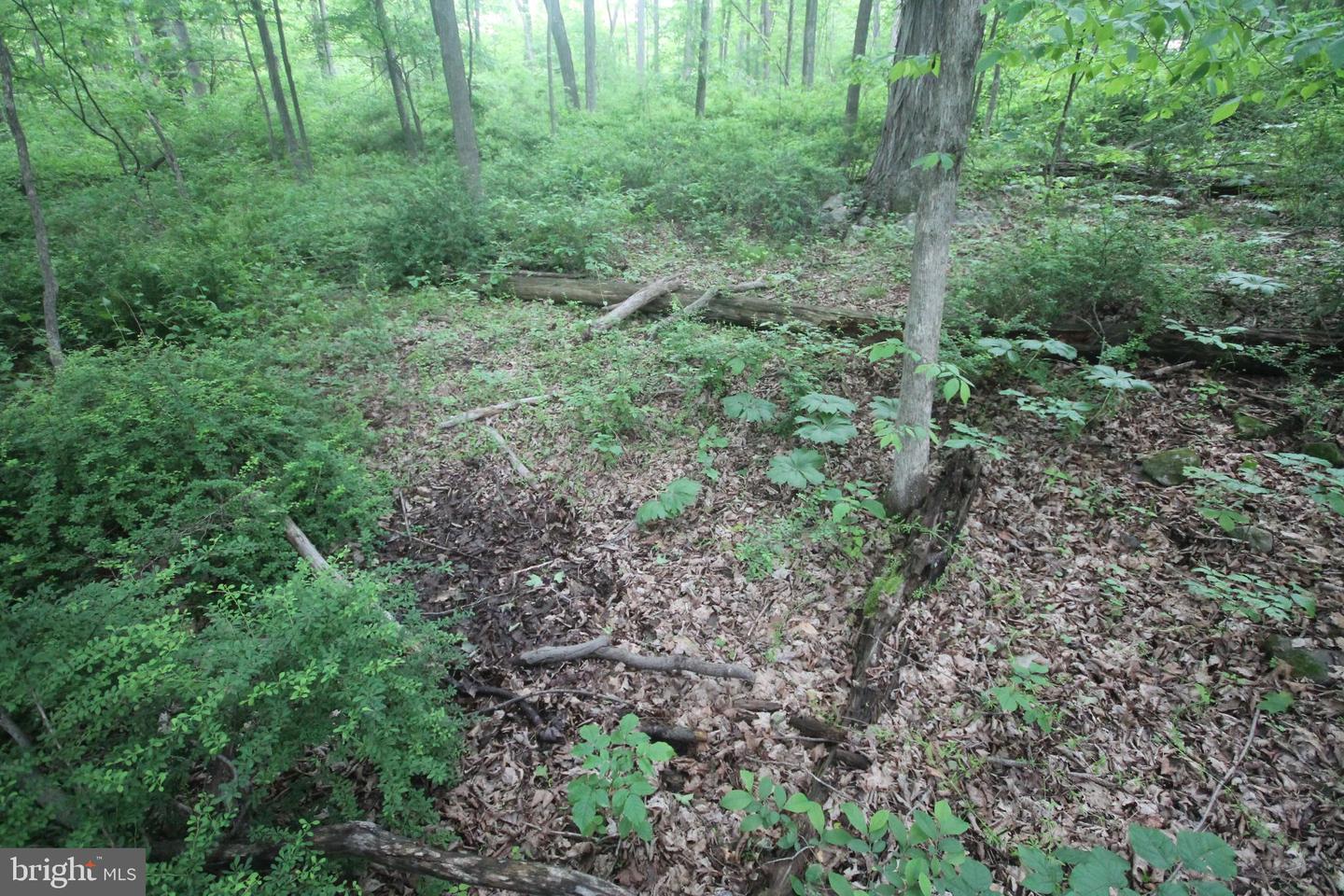 00 Black Valley Rd Property Photo 103