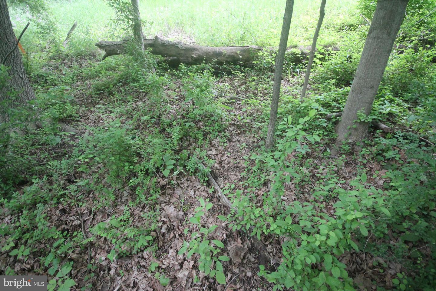 00 Black Valley Rd Property Photo 104