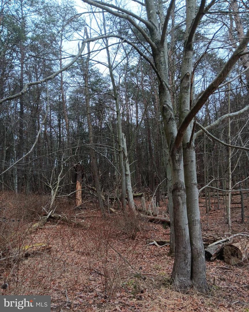 0 Bunker Hill Rd. Property Photo 1