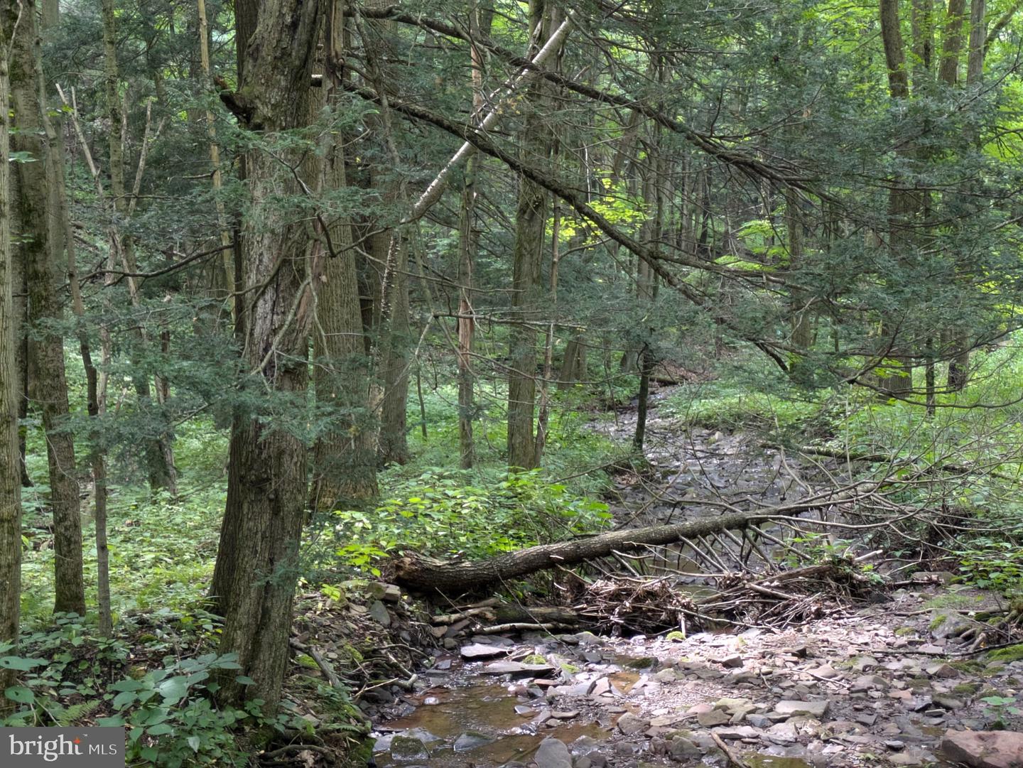 0 BERKEY HOLLOW RD