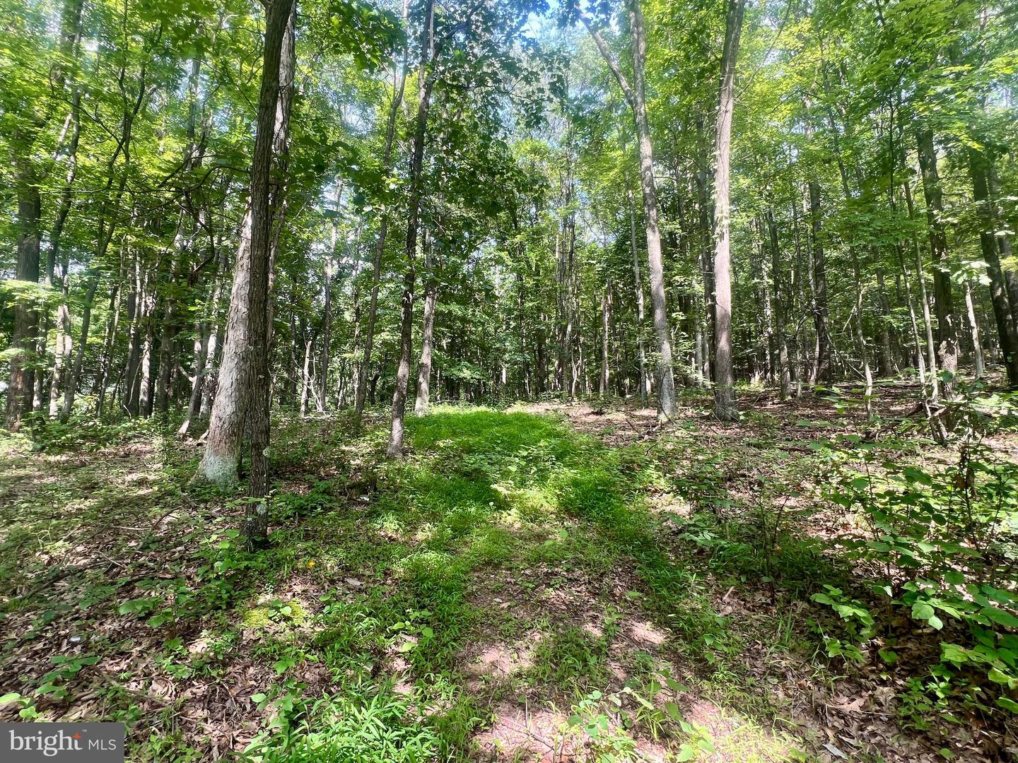 00 Brumbaugh Cemetary Road Property Photo 4