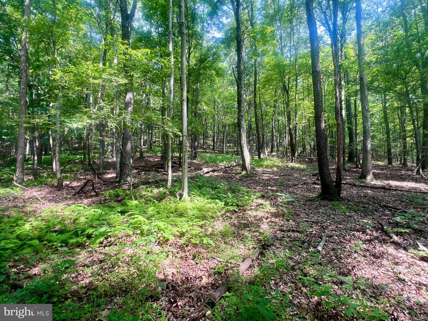 00 Brumbaugh Cemetary Road Property Photo 7