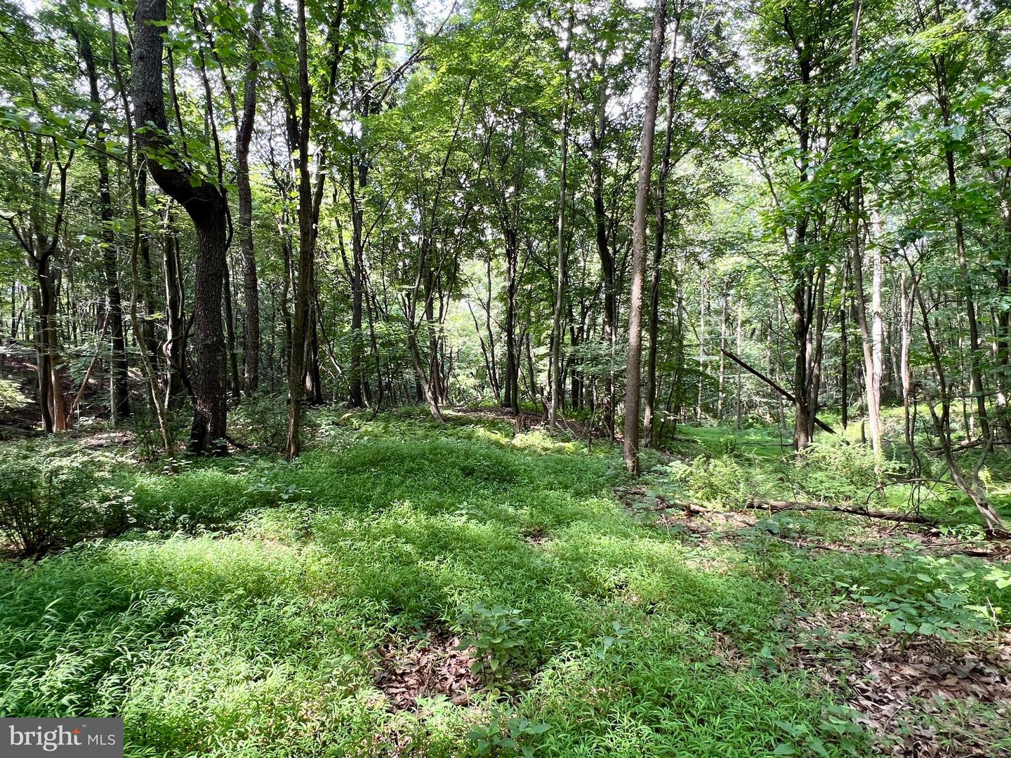 00 Brumbaugh Cemetary Road Property Photo 8