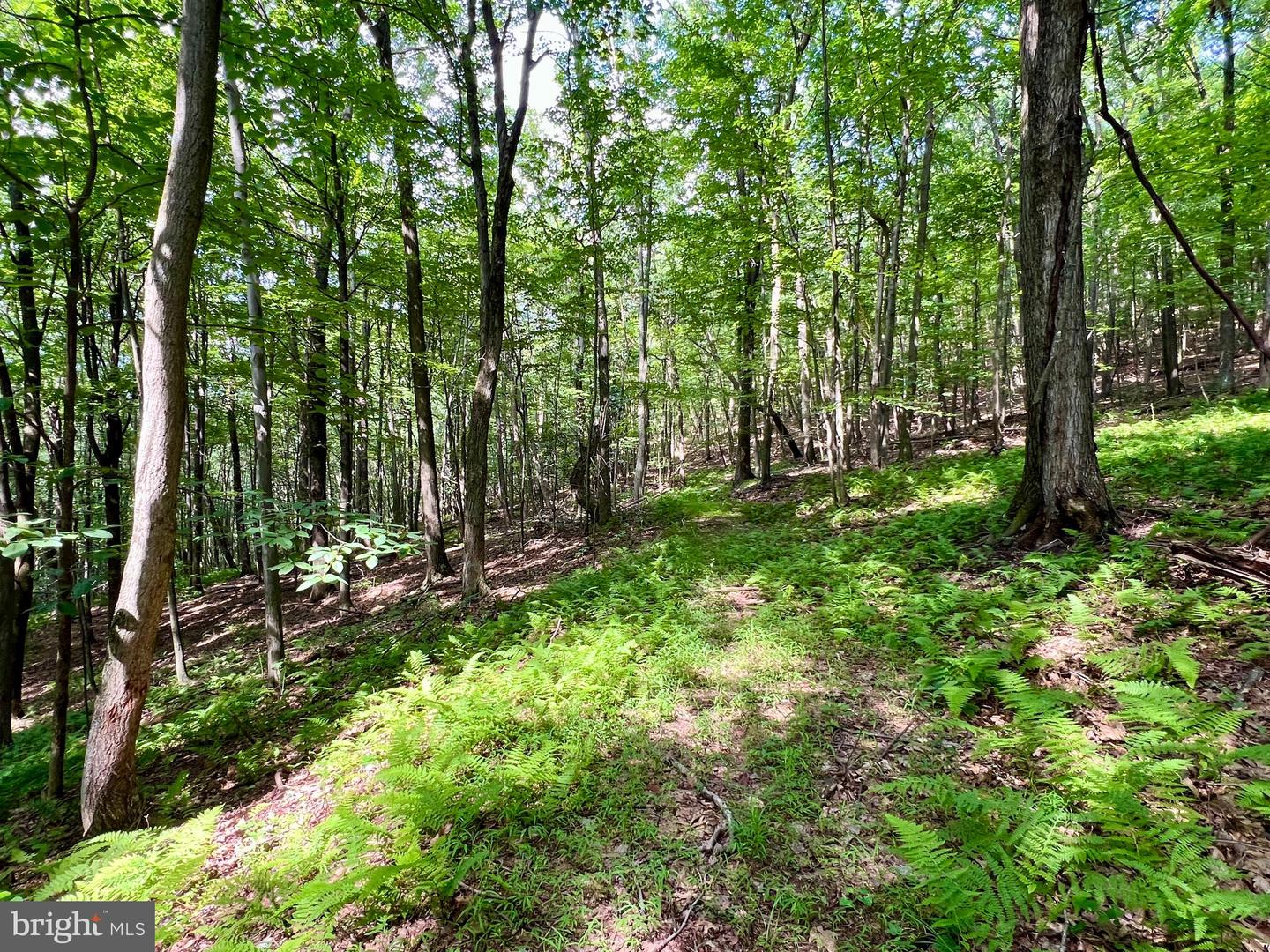 00 Brumbaugh Cemetary Road Property Photo 9