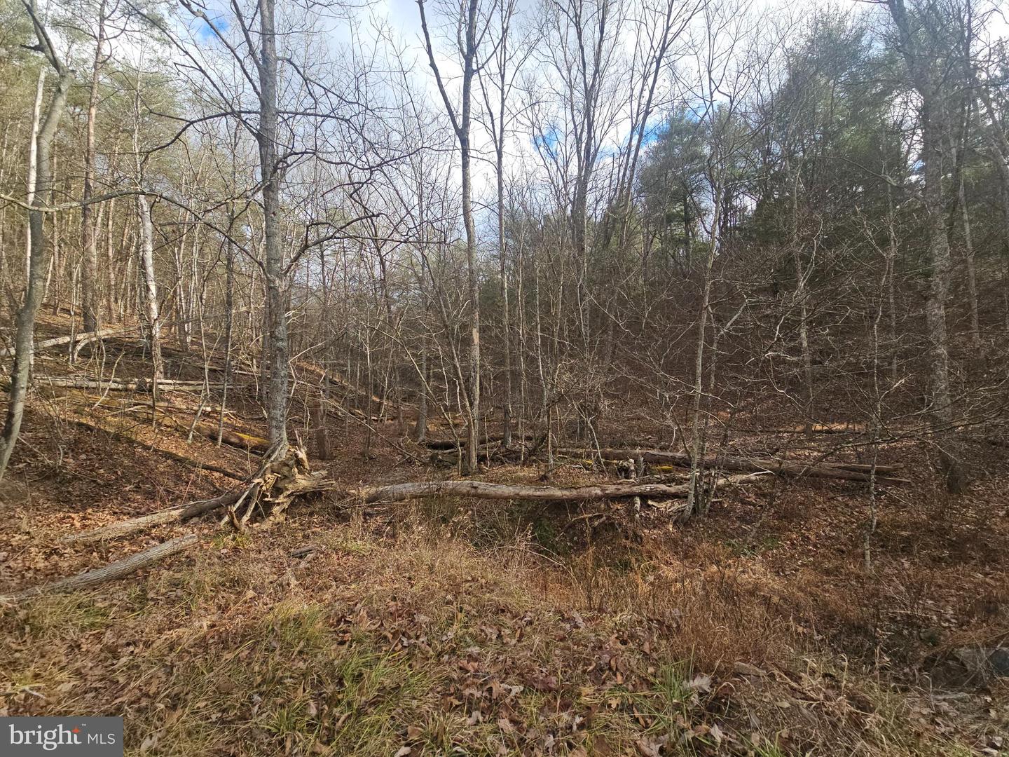 211 Martin Rd Property Photo 8