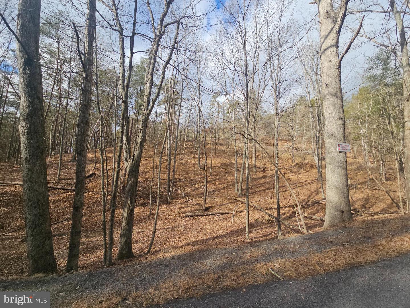 211 Martin Rd Property Photo 11