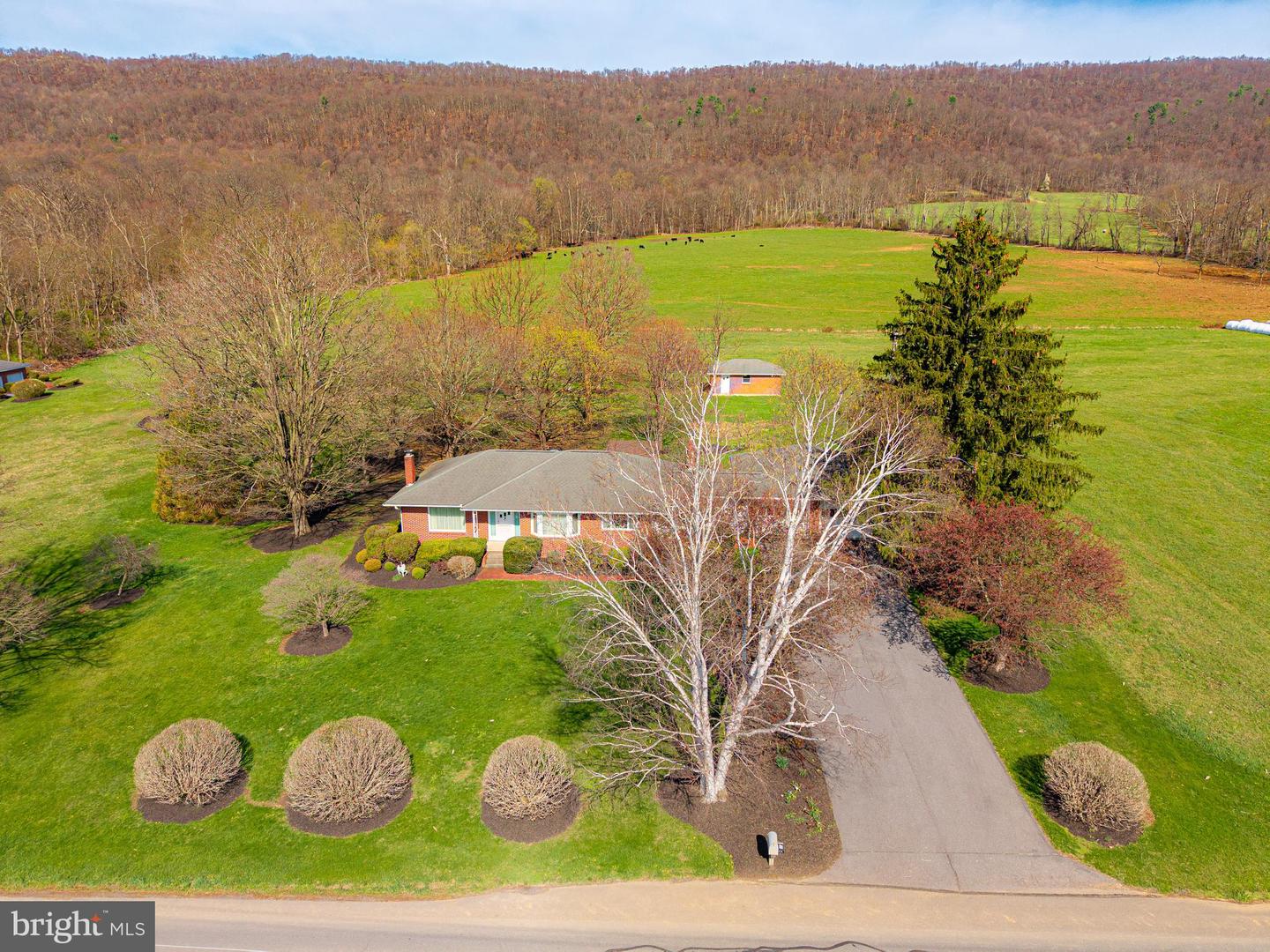 1771 Upper Snake Spring Rd Property Photo 45
