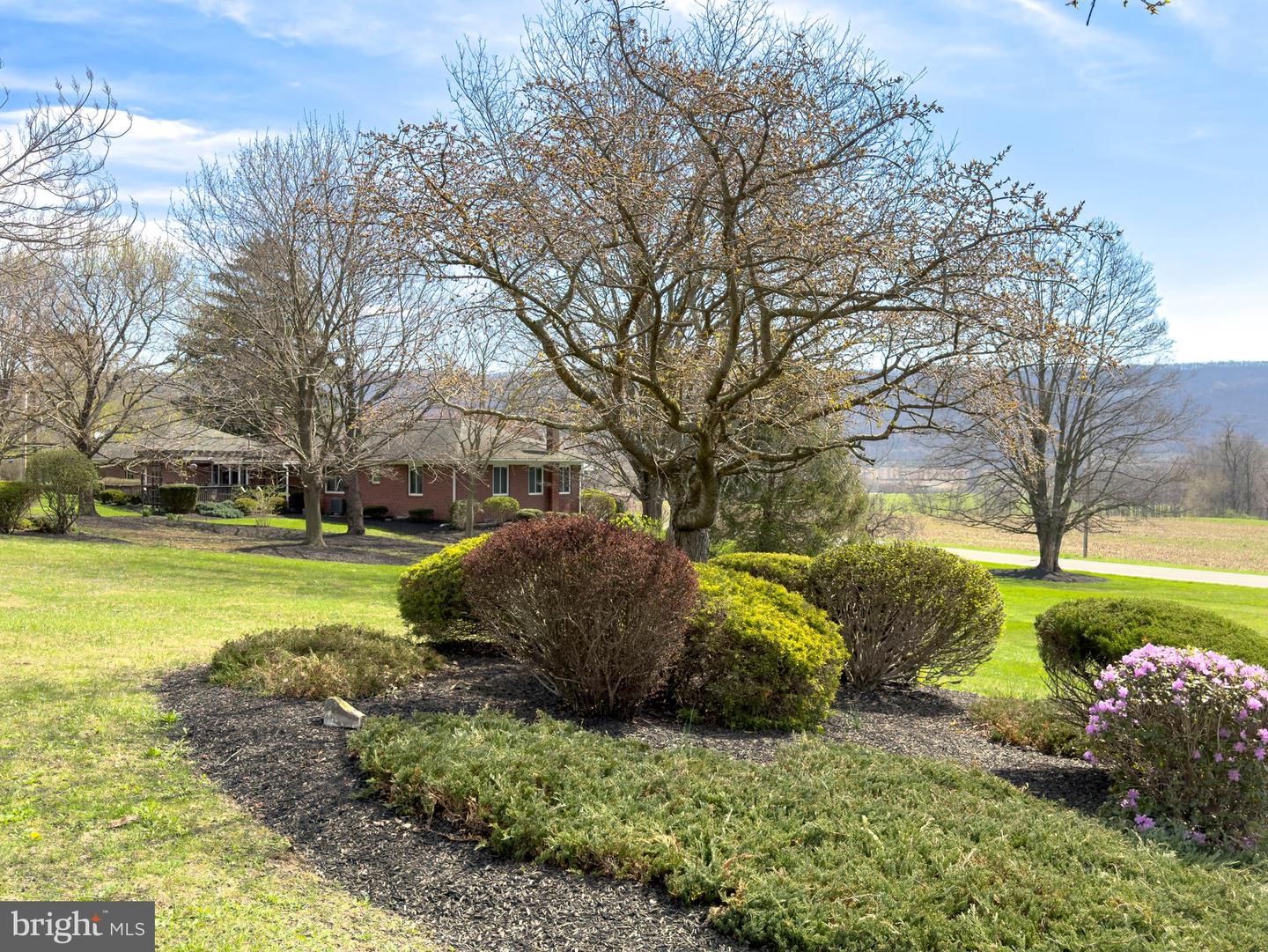 1771 Upper Snake Spring Rd Property Photo 50