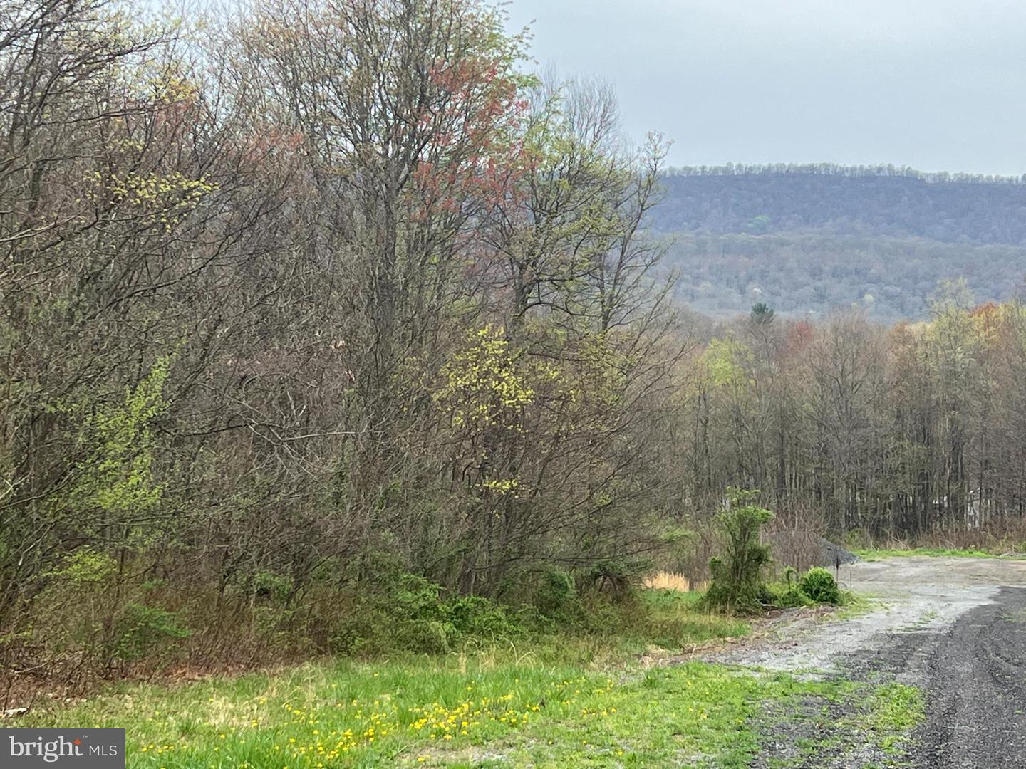 LOT #14 RIDGE WAY DRIVE Property Photo 1
