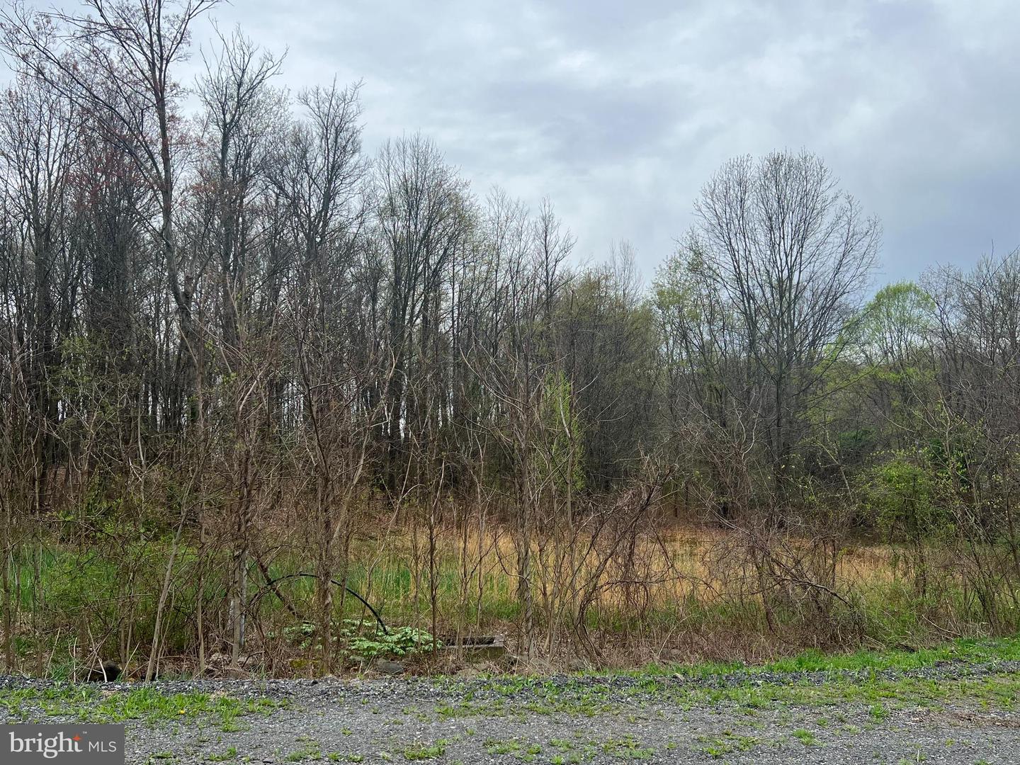 Lot #14 Ridge Way Drive Property Photo 2