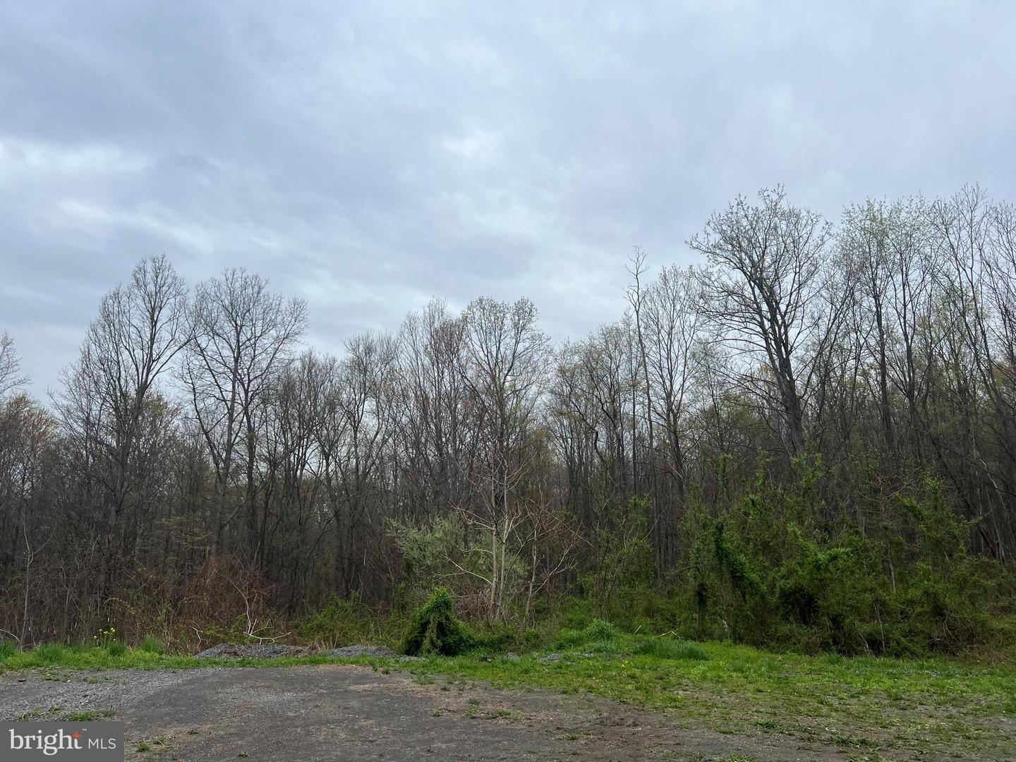 Lot #14 Ridge Way Drive Property Photo 3