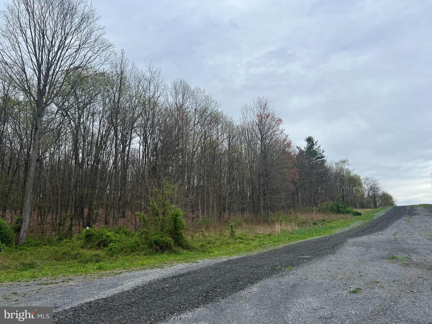 Lot #14 Ridge Way Drive Property Photo 4