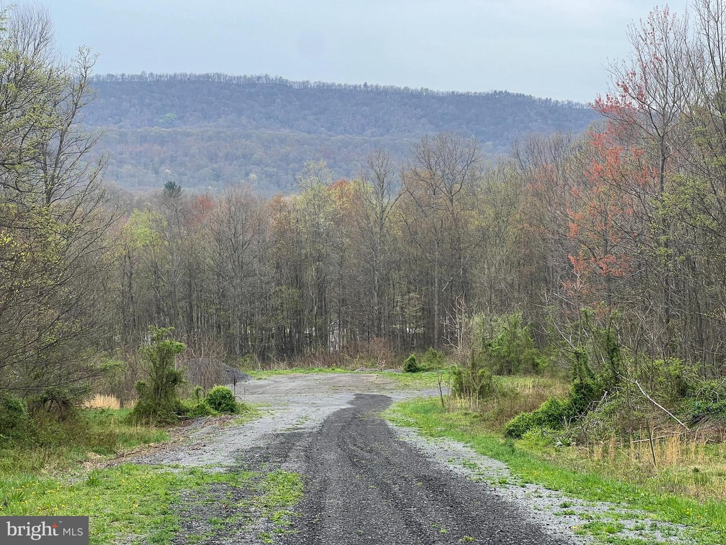 LOT #15 RIDGE WAY DRIVE Property Photo 1