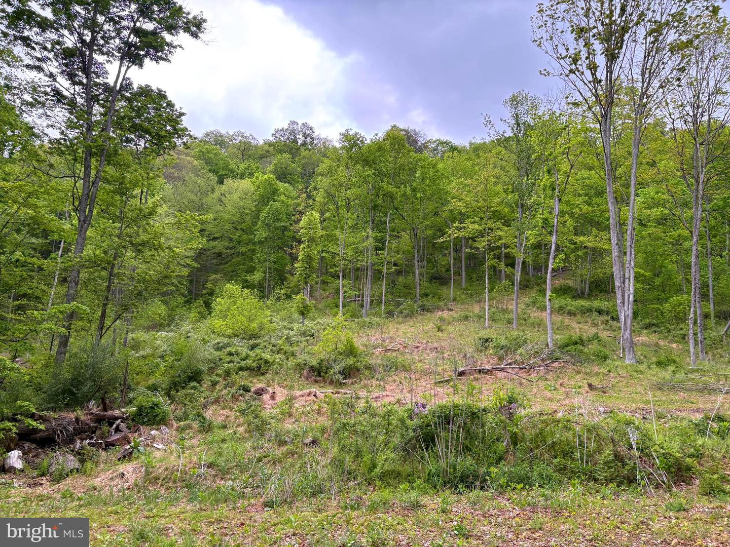 Tiger Valley Rd Property Photo 1