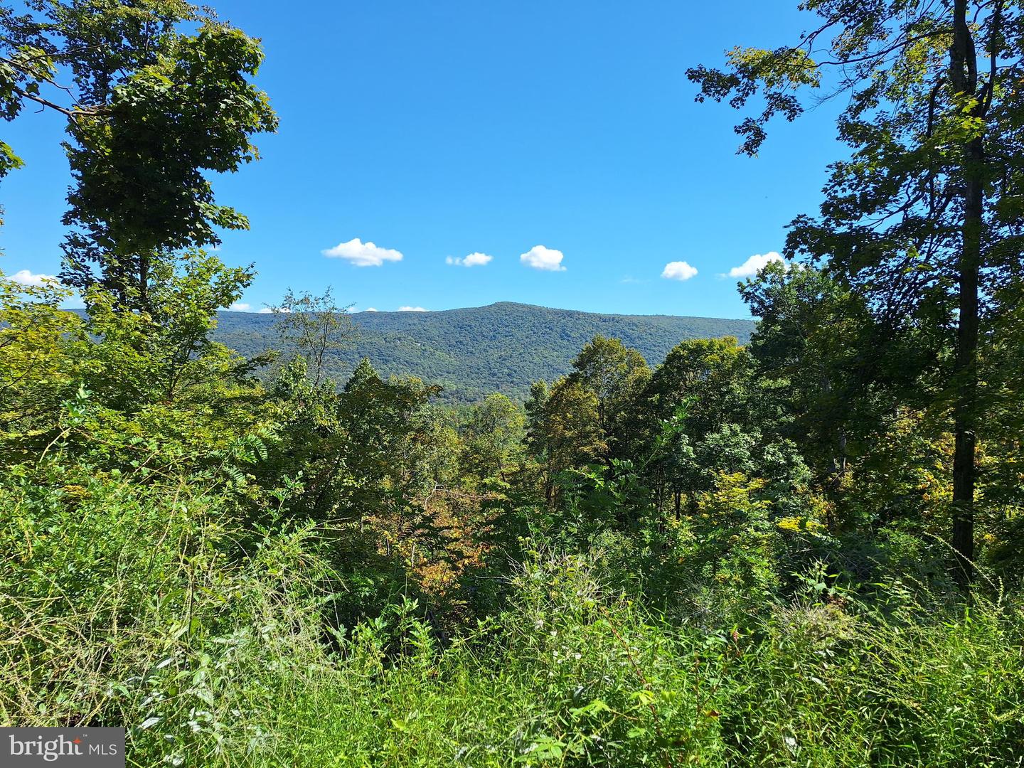 Tiger Valley Rd Property Photo 1