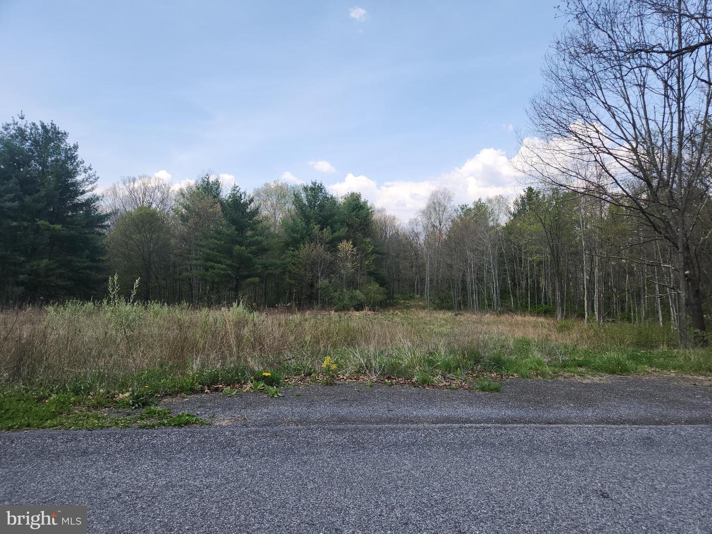 Lot 3 Fickes Road Property Photo 1