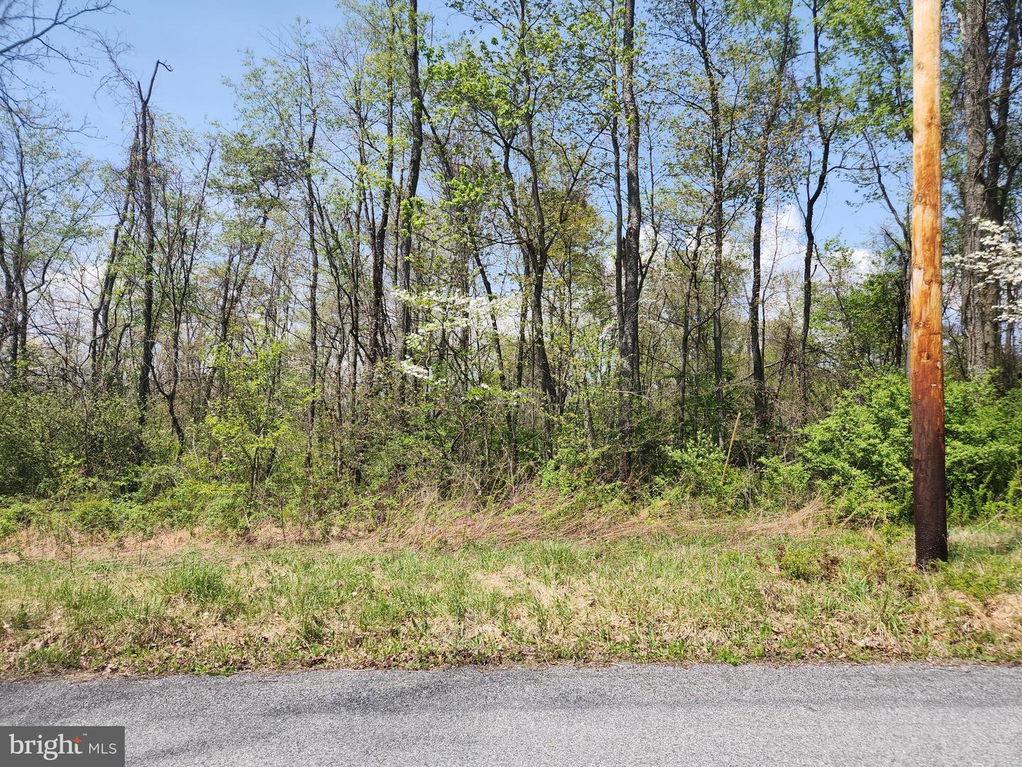 Lot 3 Fickes Road Property Photo 4