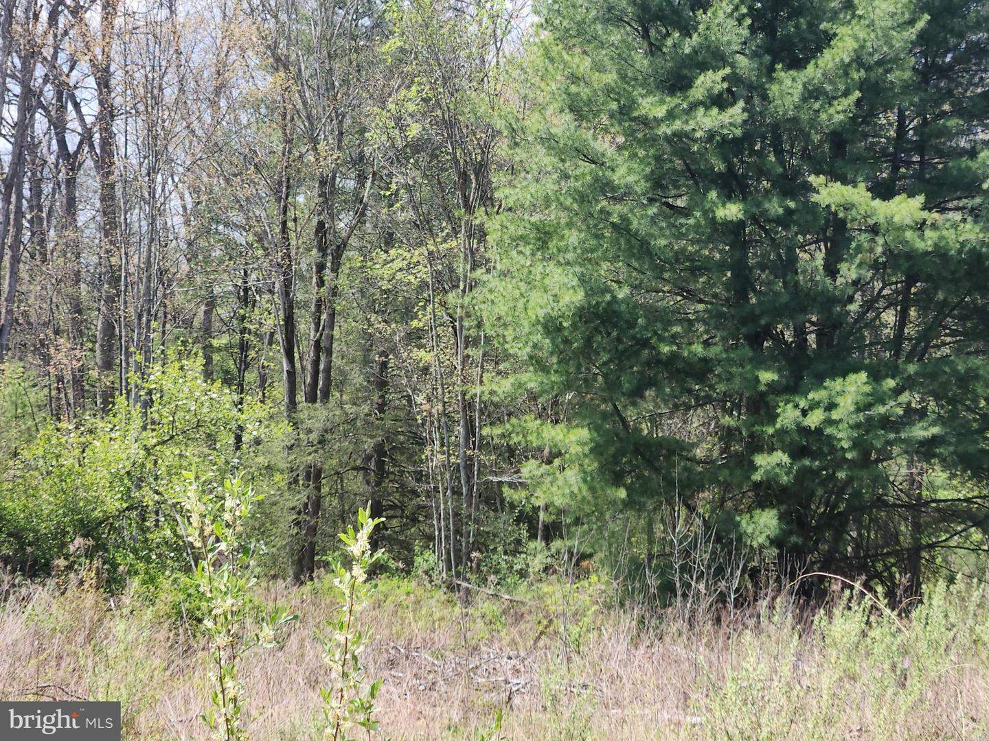 Lot 5 Fickes Rd Property Photo 1
