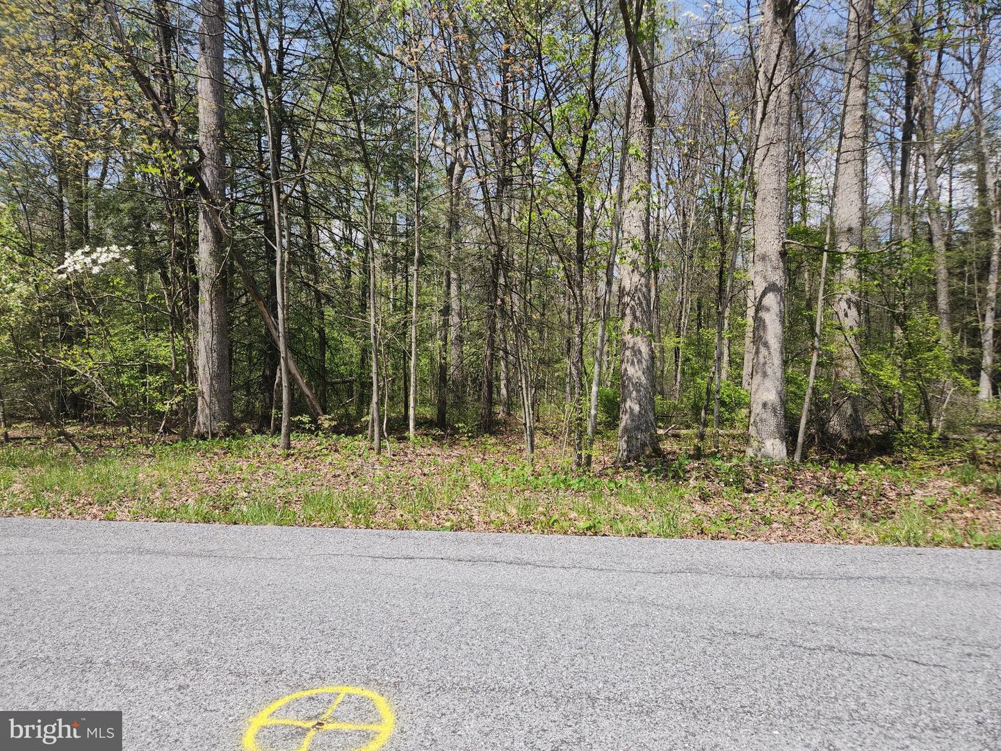 Lot 6 Fickes Rd Property Photo 3