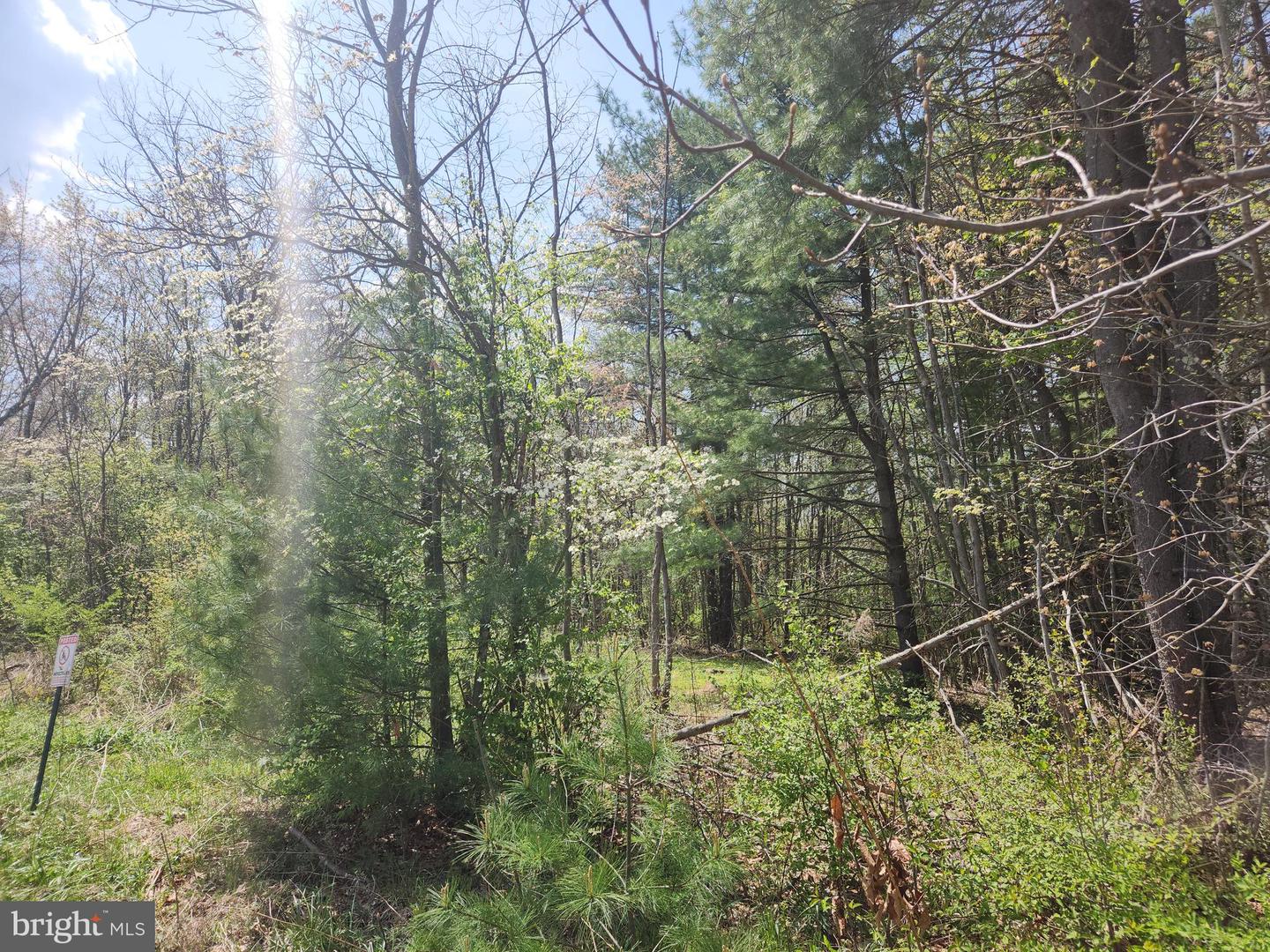Lot 6 Fickes Rd Property Photo 8