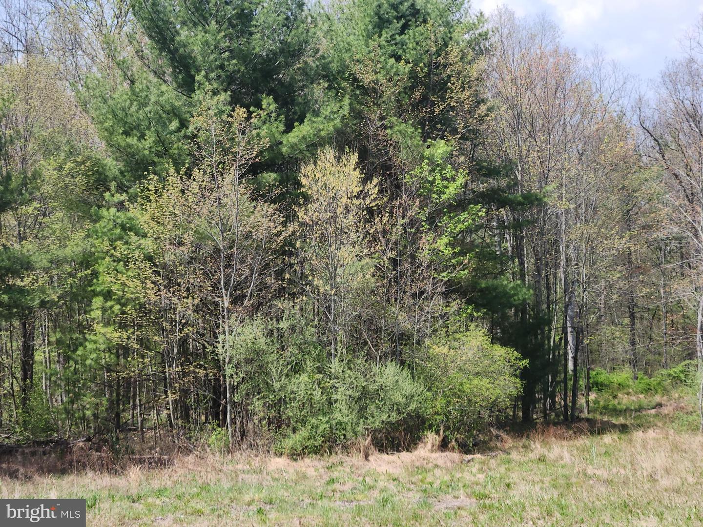 Lot 6 Fickes Rd Property Photo 9