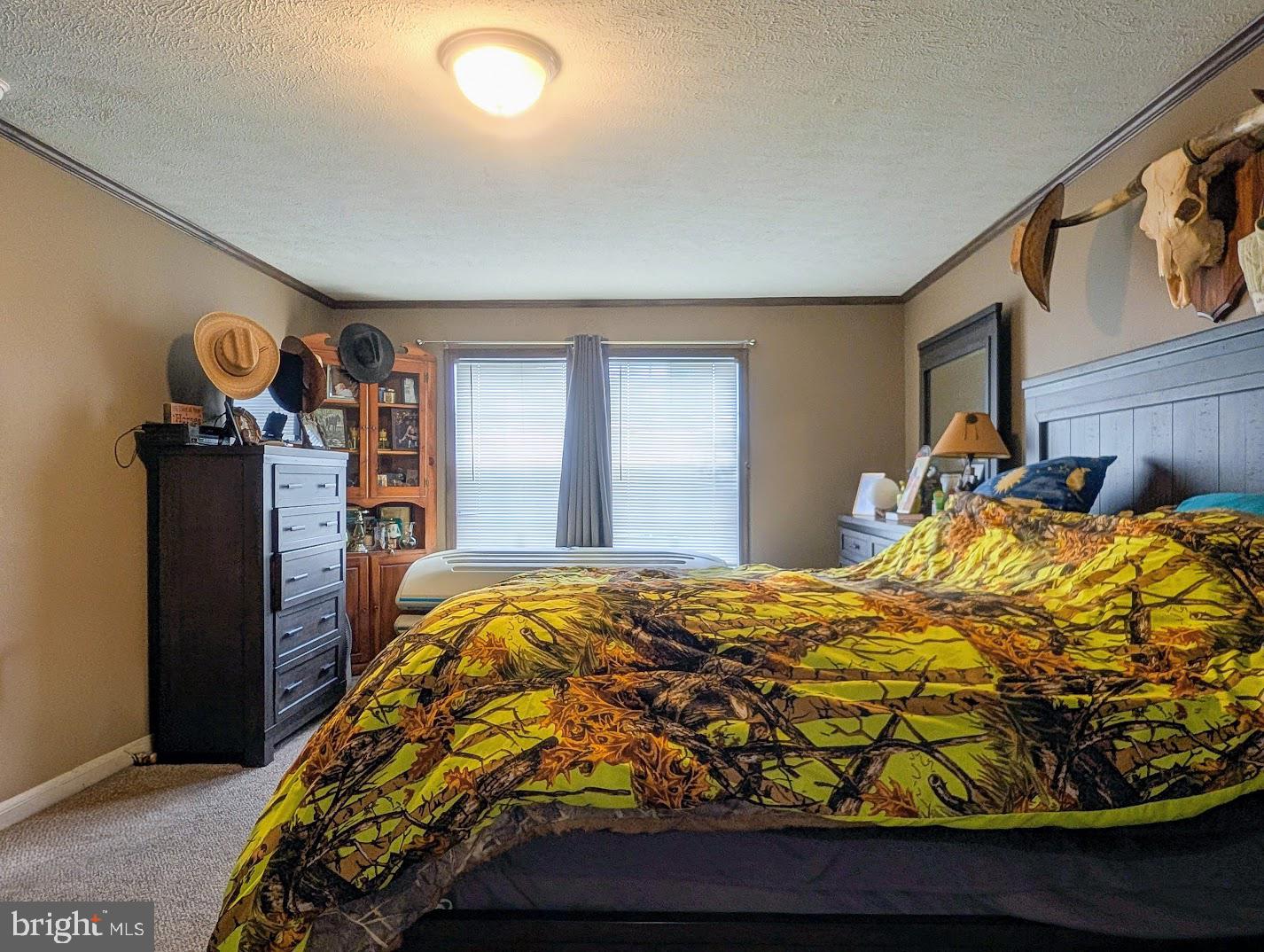 258 Lovely Road Property Photo 22