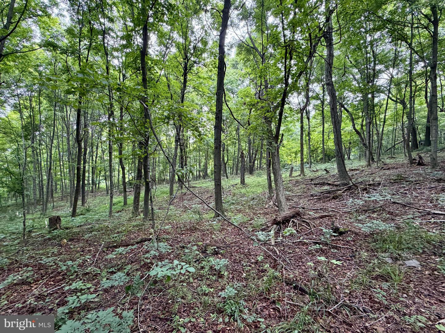 111ac Main Road Property Photo 7