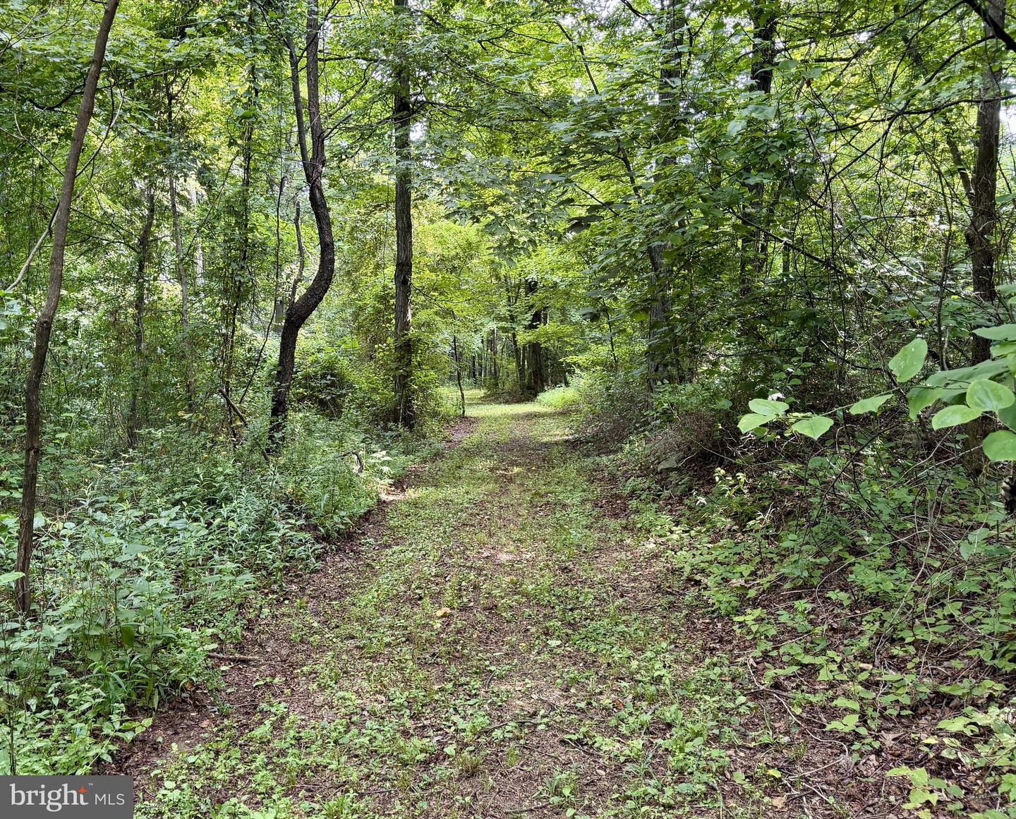 111ac Main Road Property Photo 8