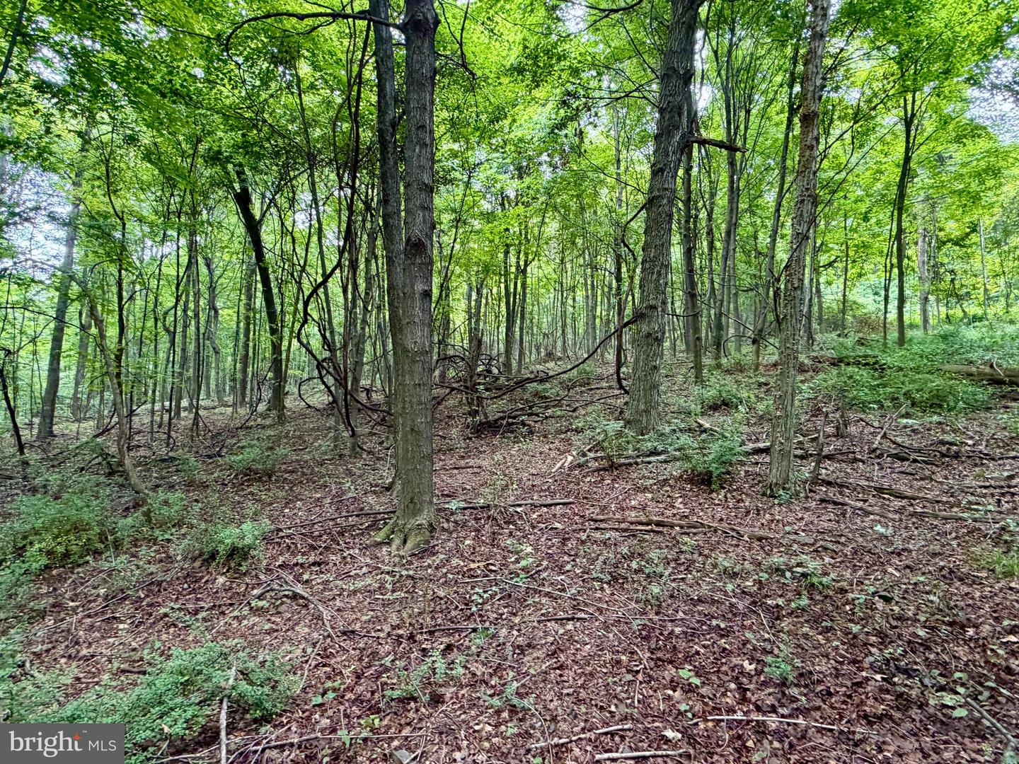 111ac Main Road Property Photo 9