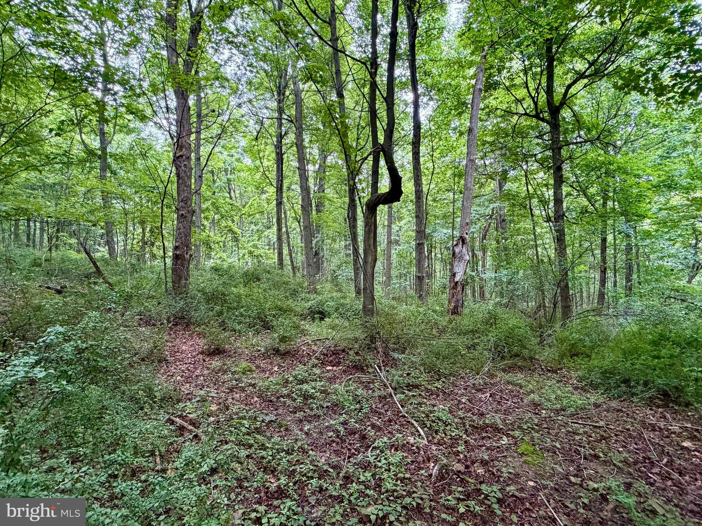 111ac Main Road Property Photo 10