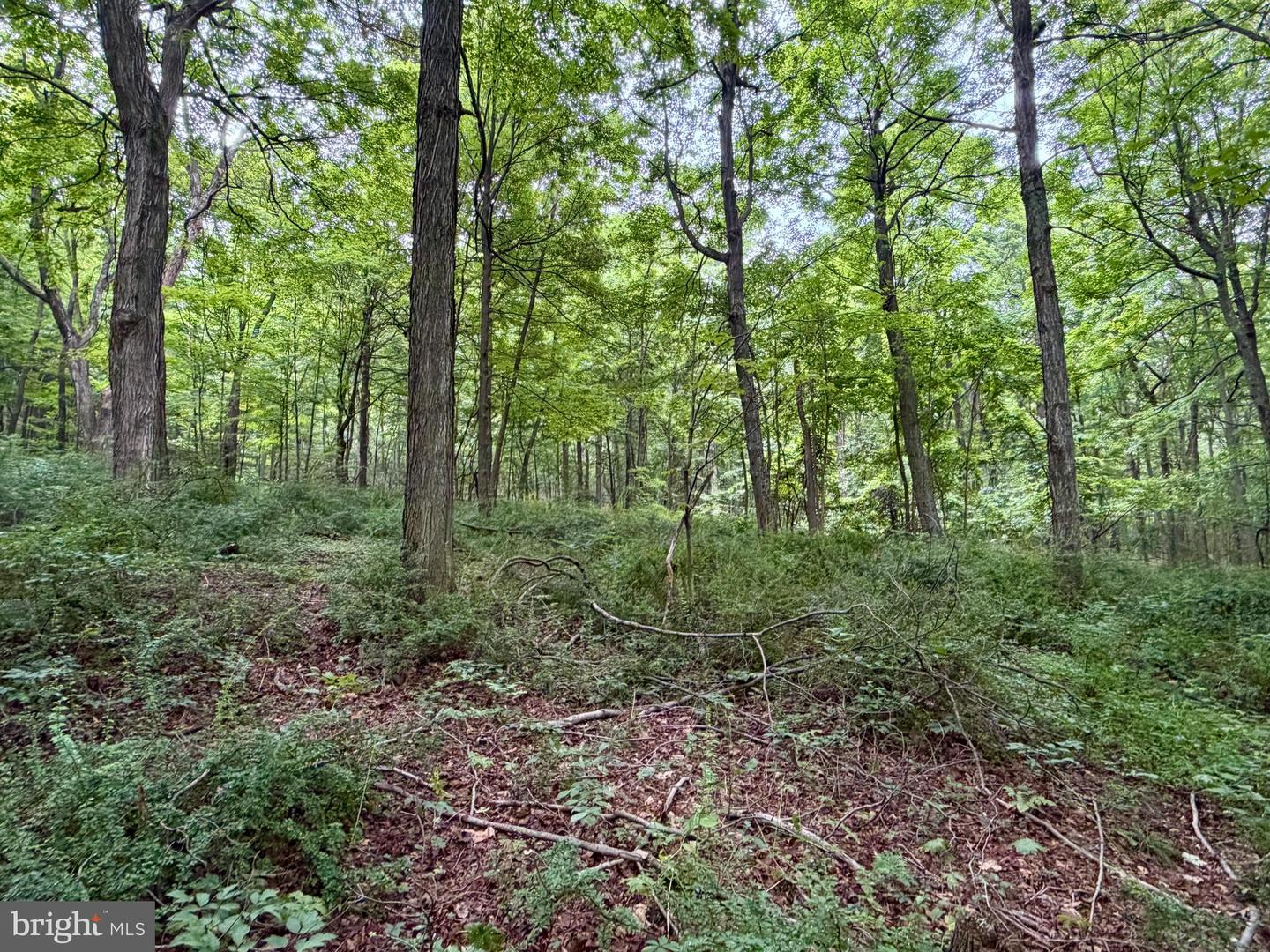 111ac Main Road Property Photo 11