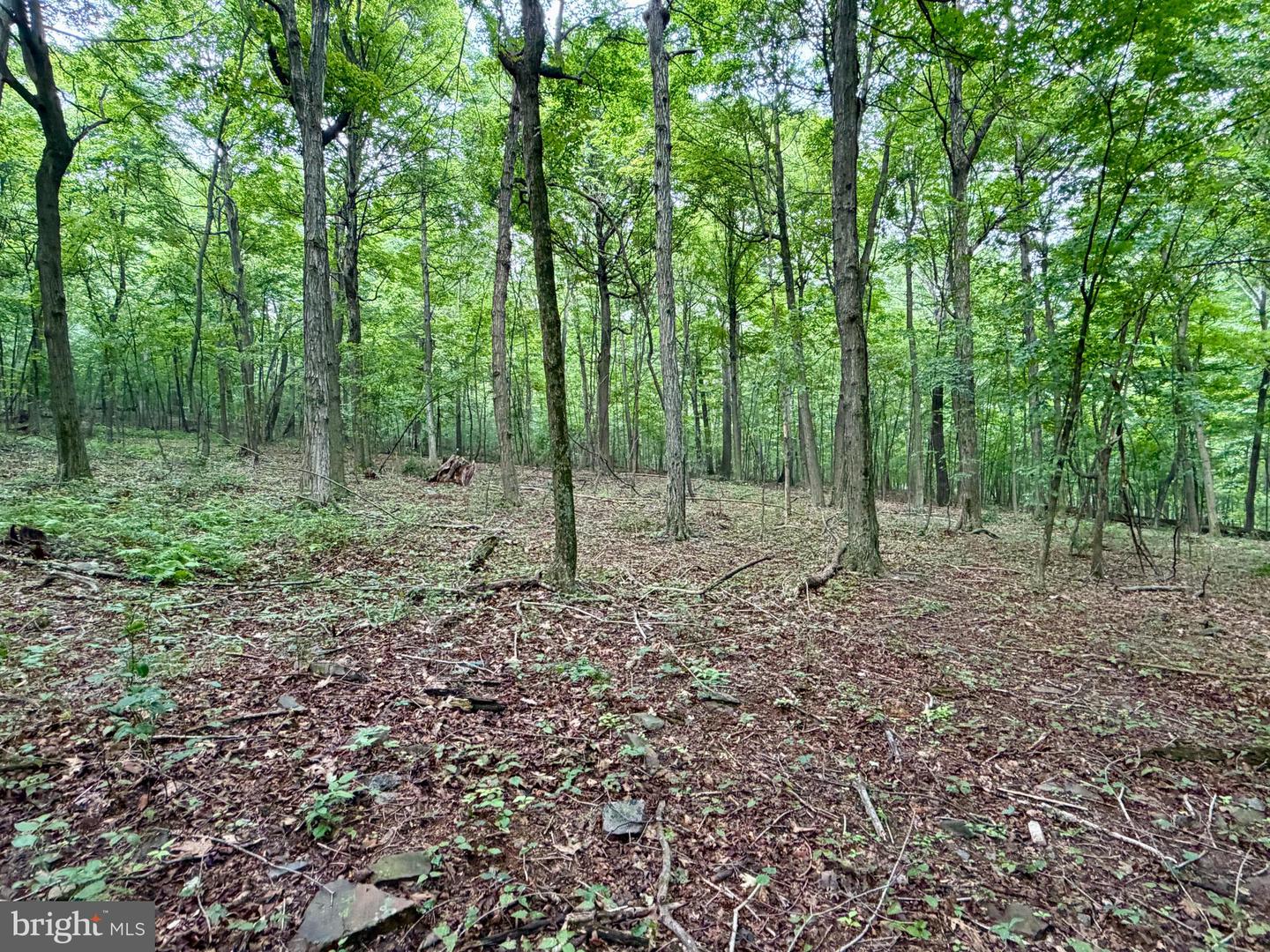 111ac Main Road Property Photo 12