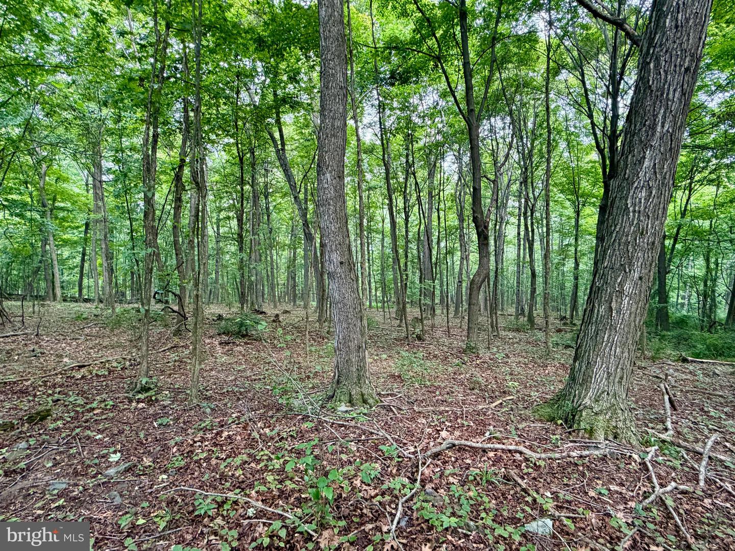 111ac Main Road Property Photo 13