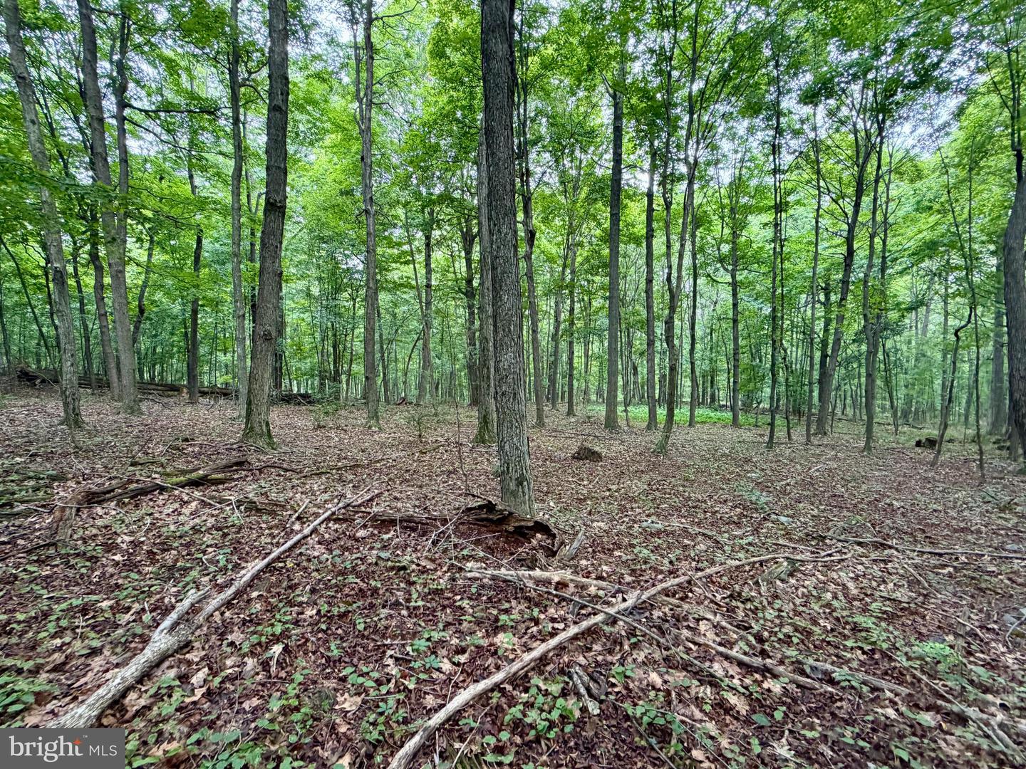 111ac Main Road Property Photo 14