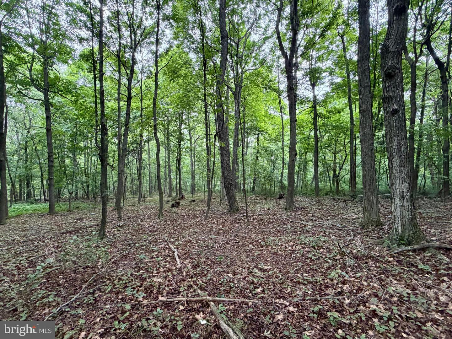 111ac Main Road Property Photo 15