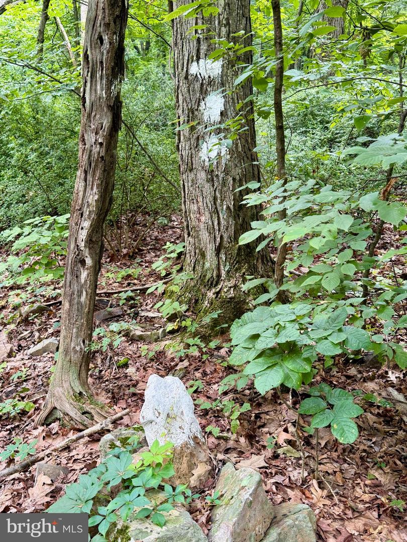 111ac Main Road Property Photo 17
