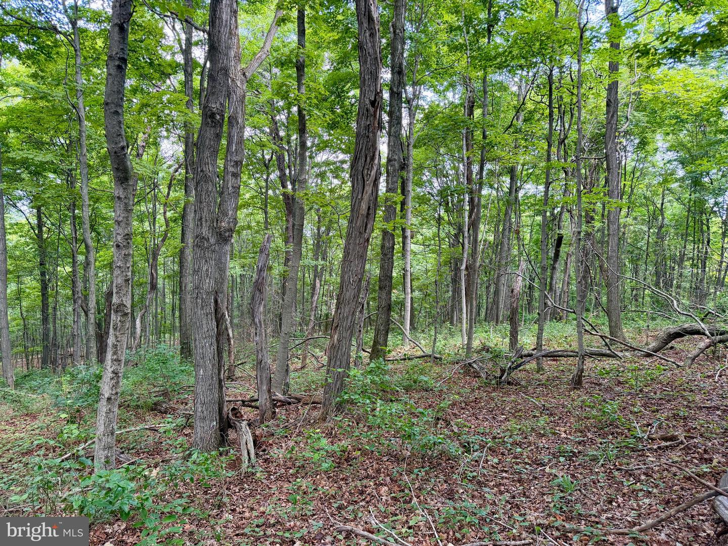 111ac Main Road Property Photo 19