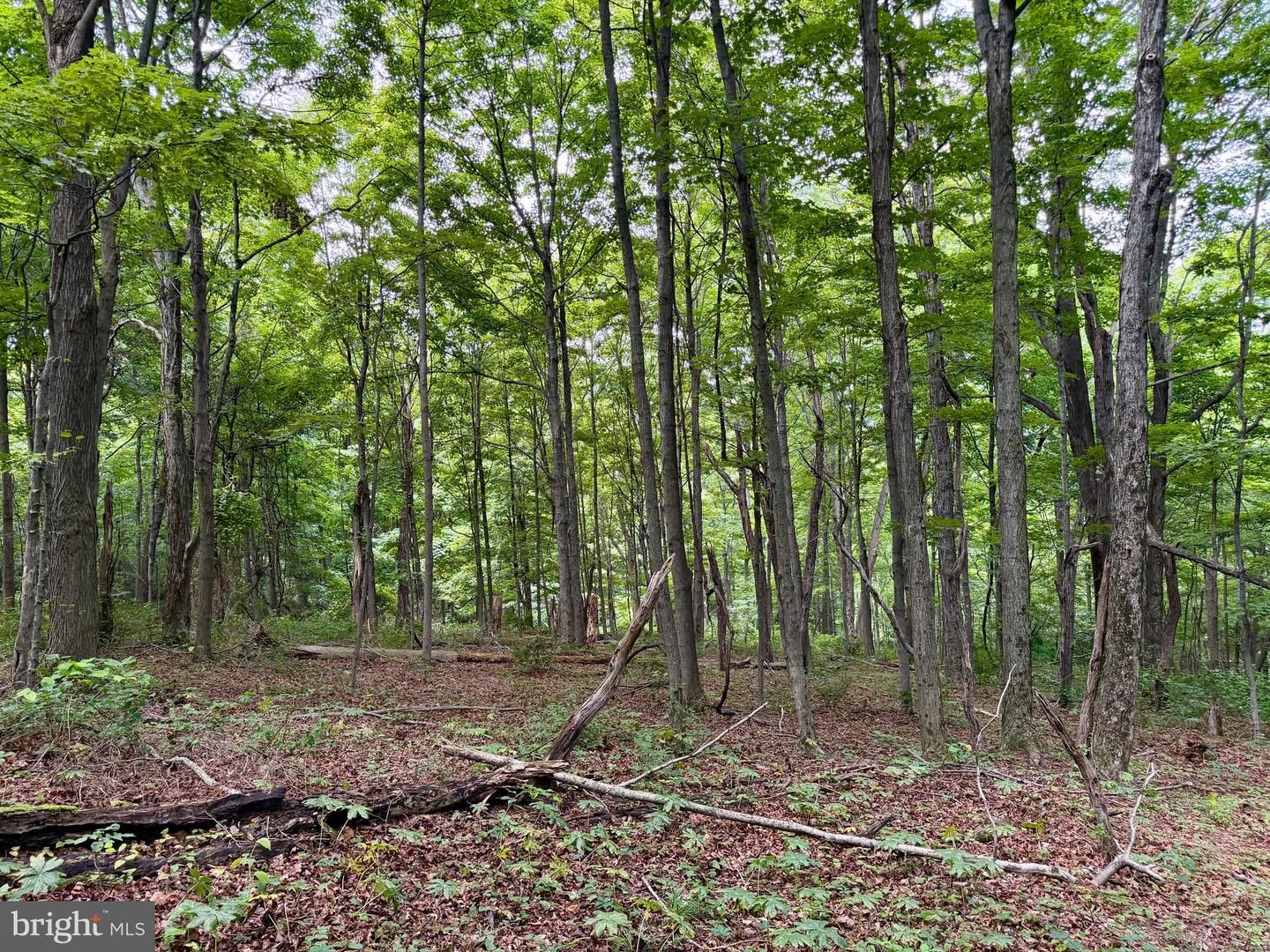 111ac Main Road Property Photo 20